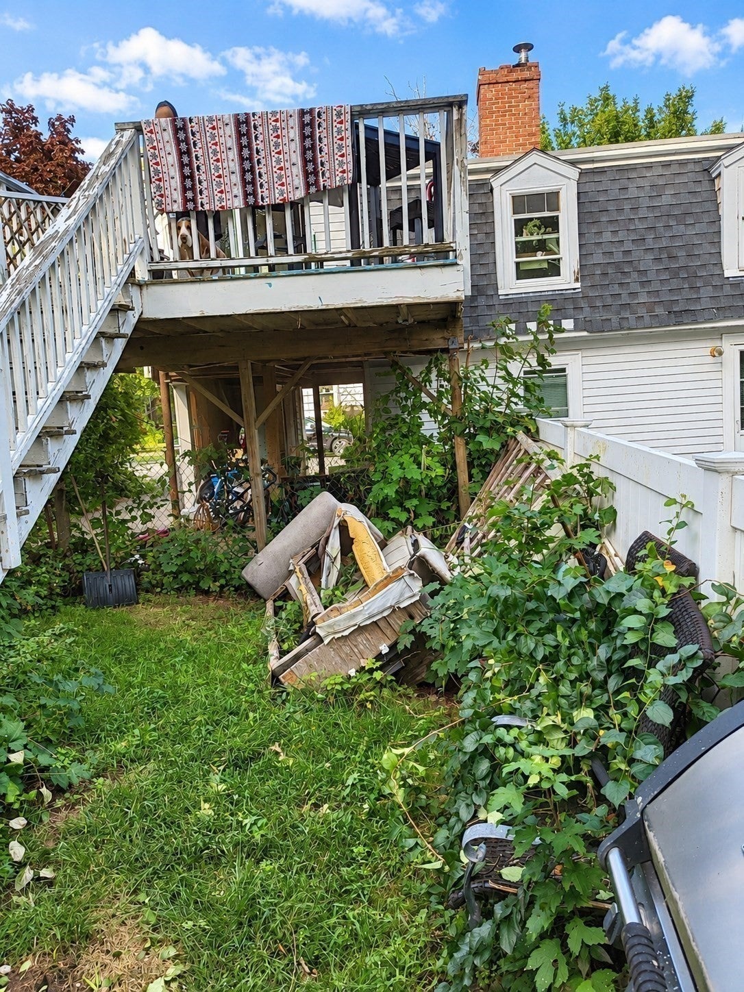 33 Walter St, Salem, MA, 33 Walter St, Salem, MA Photo #19