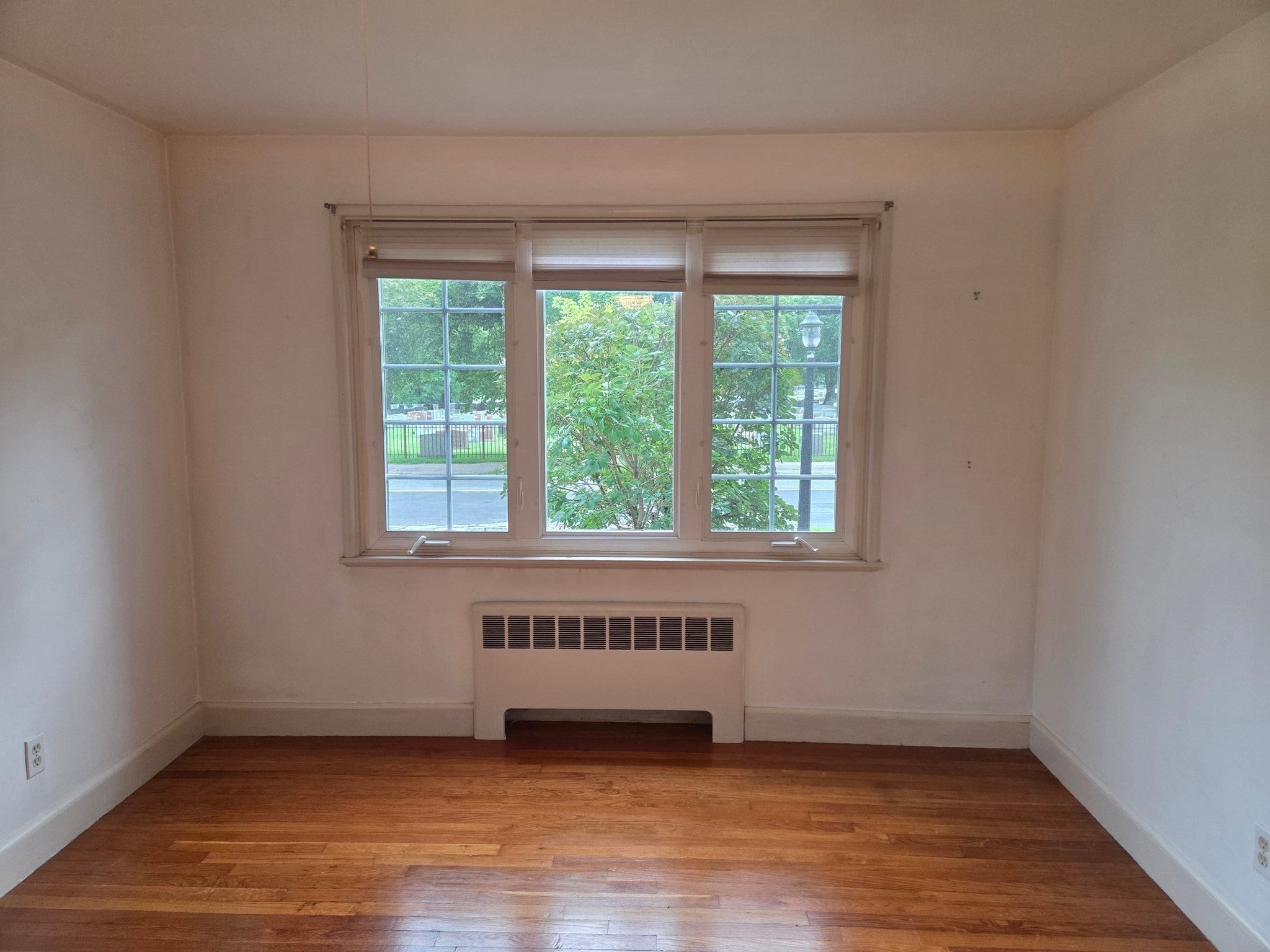 1002 Belmont St #1, Watertown, MA, 1002 Belmont St #1, Watertown, MA Photo #15