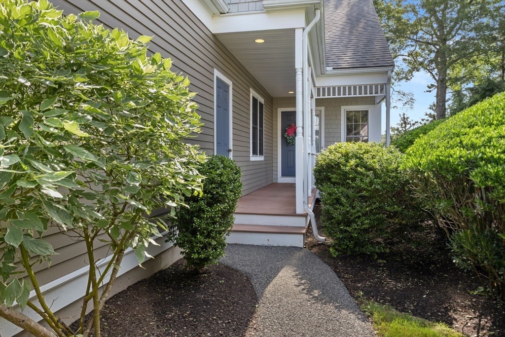 4 Blue Meadow 161