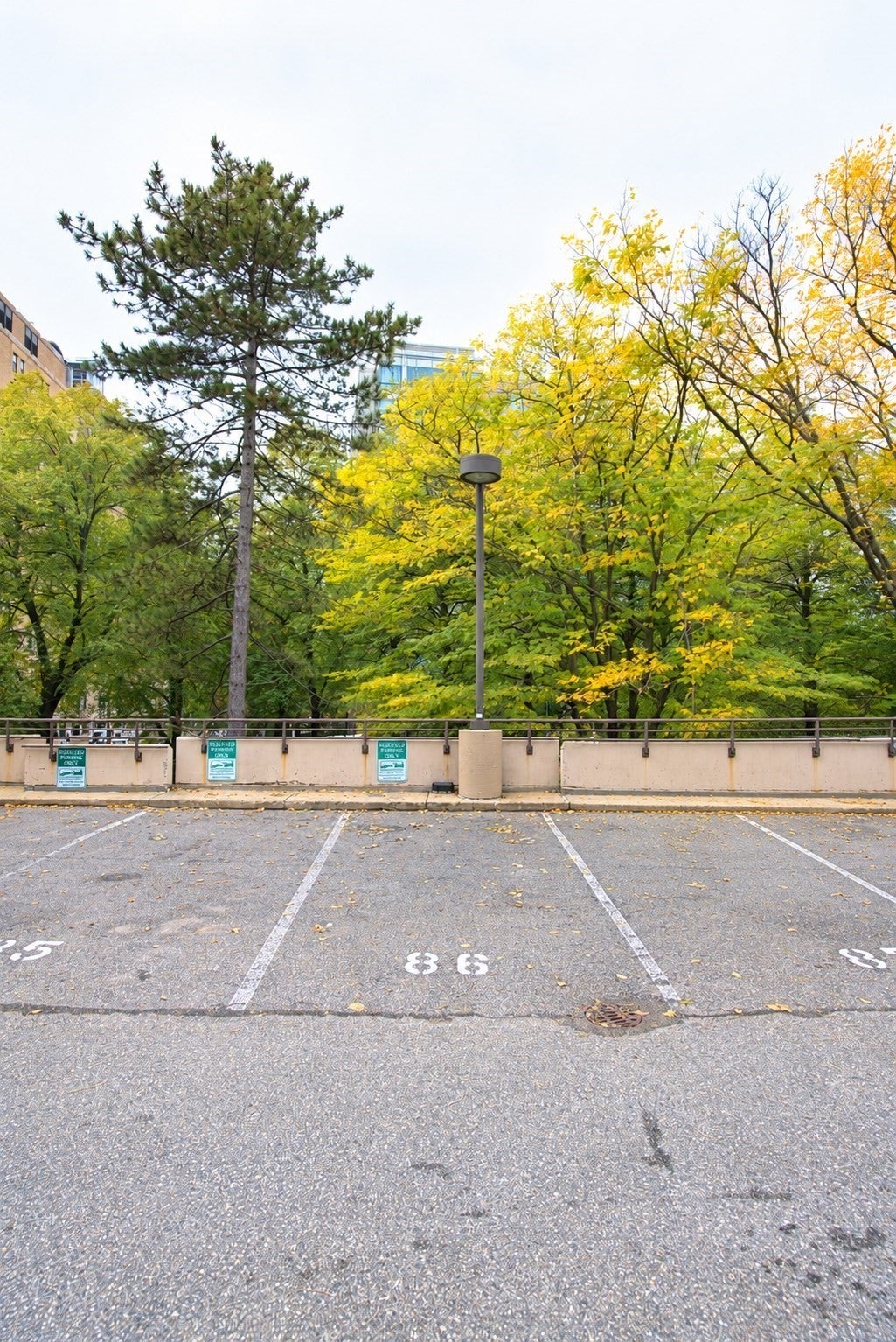 9 Hawthorne Pl Pkg 86