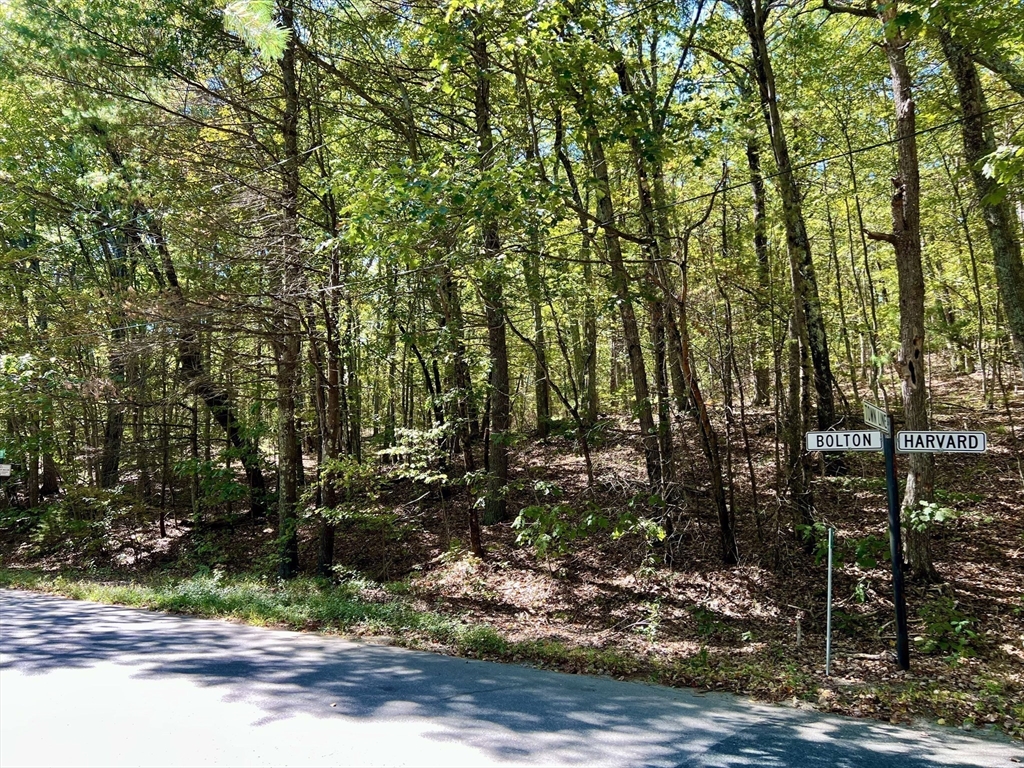 90 Corn Road
