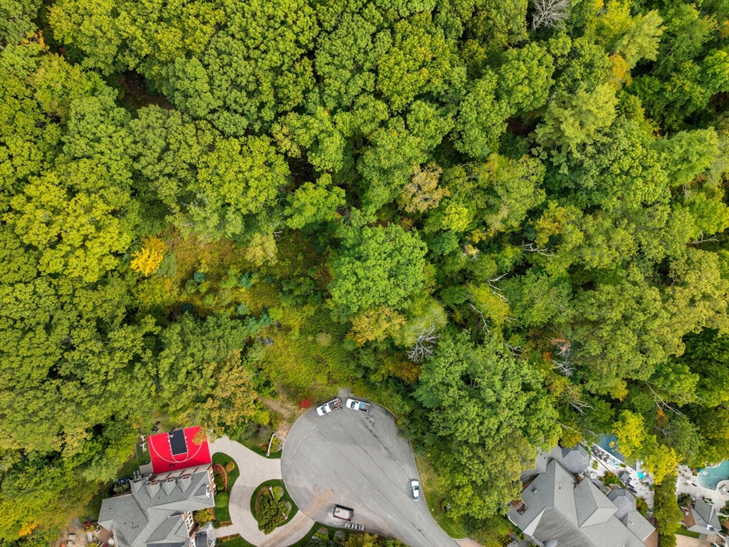 3 Willoughby Ln