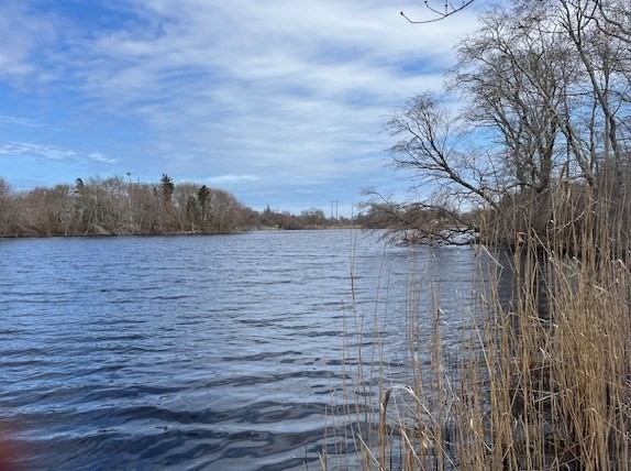 32 Locust Rd
