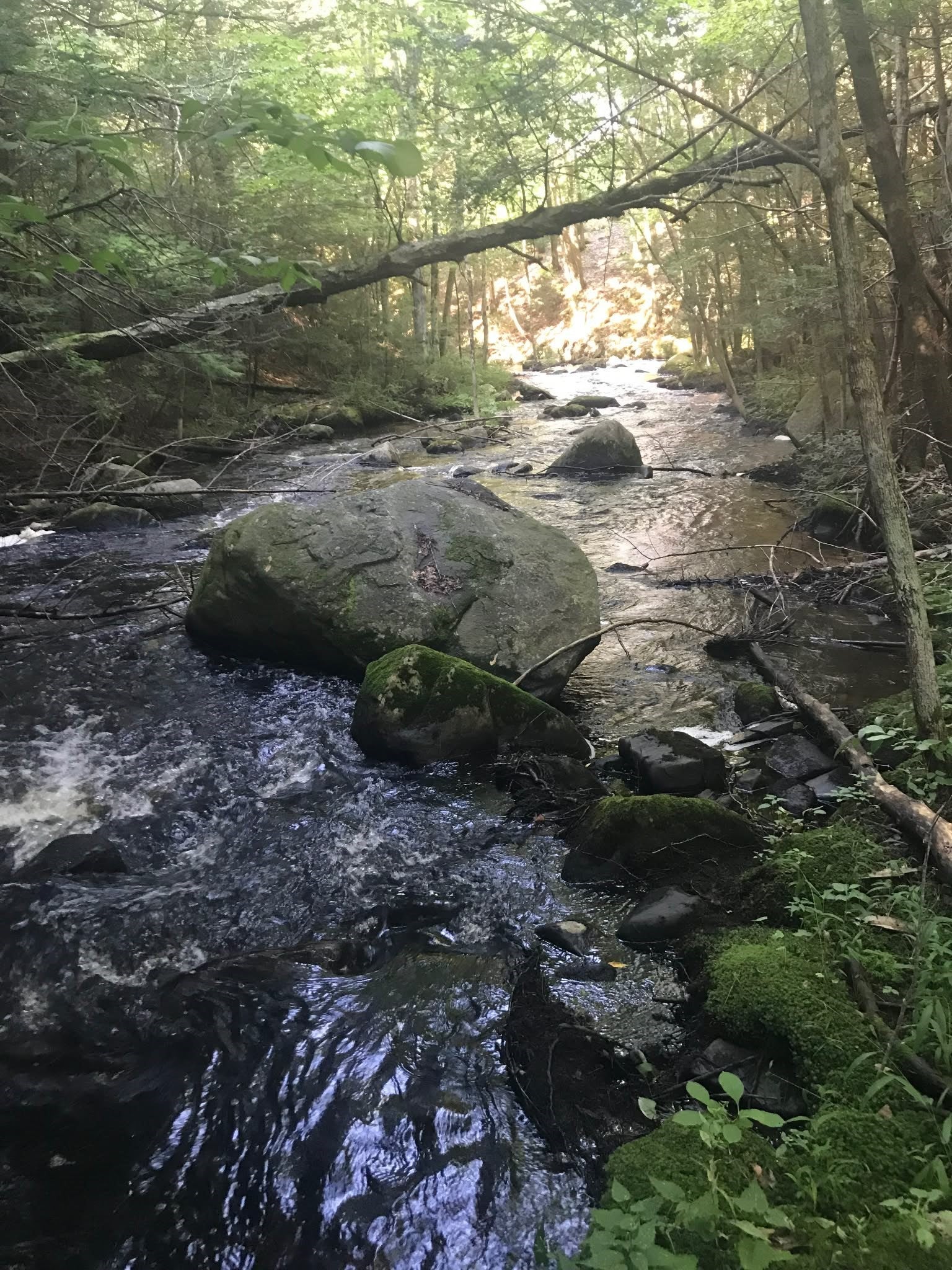 101 Wales Rd, Monson, MA Photo #28