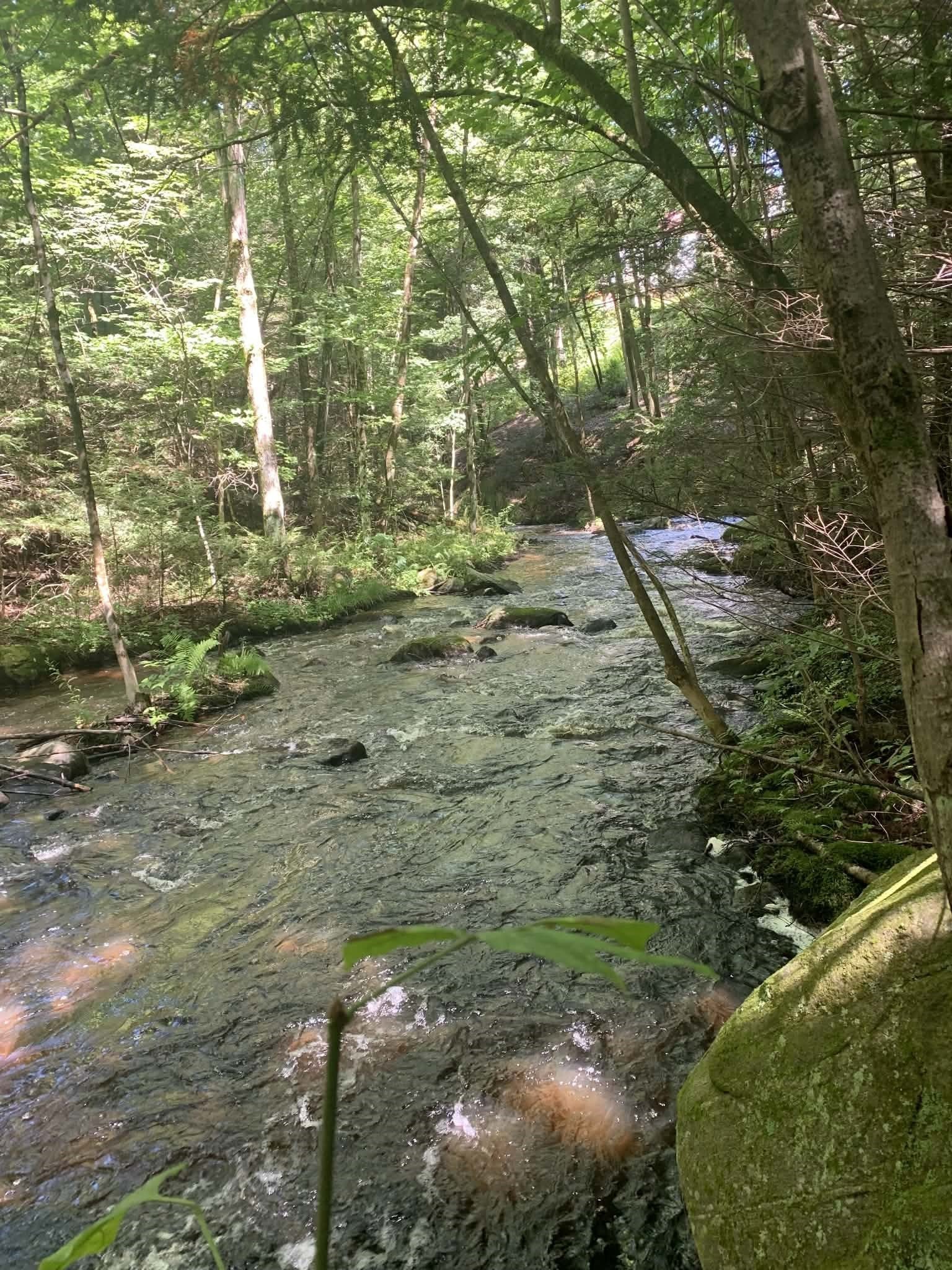 101 Wales Rd, Monson, MA Photo #29