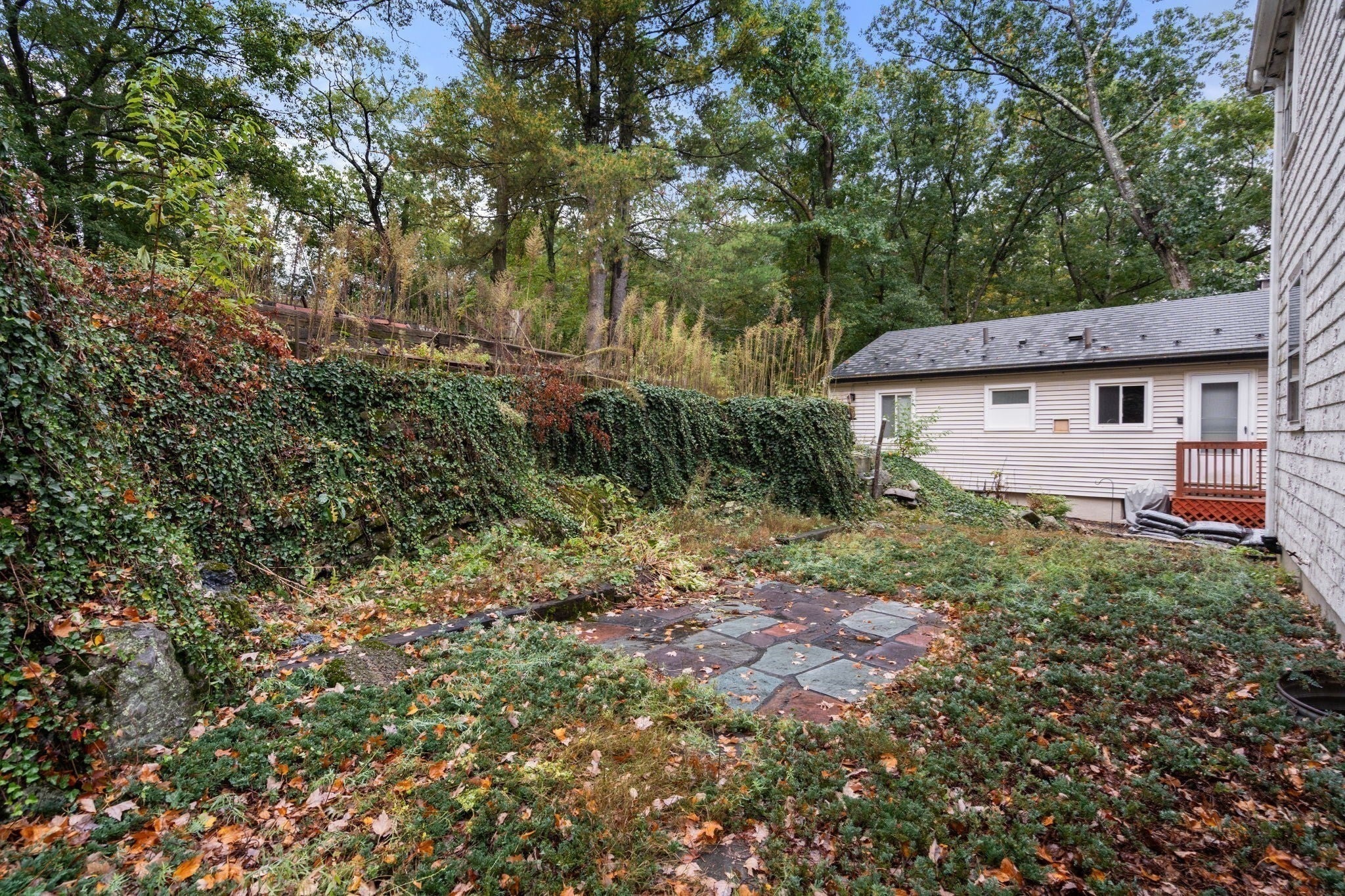 30 Hackensack Road, Brookline, MA, 30 Hackensack Road, Brookline, MA Photo #22