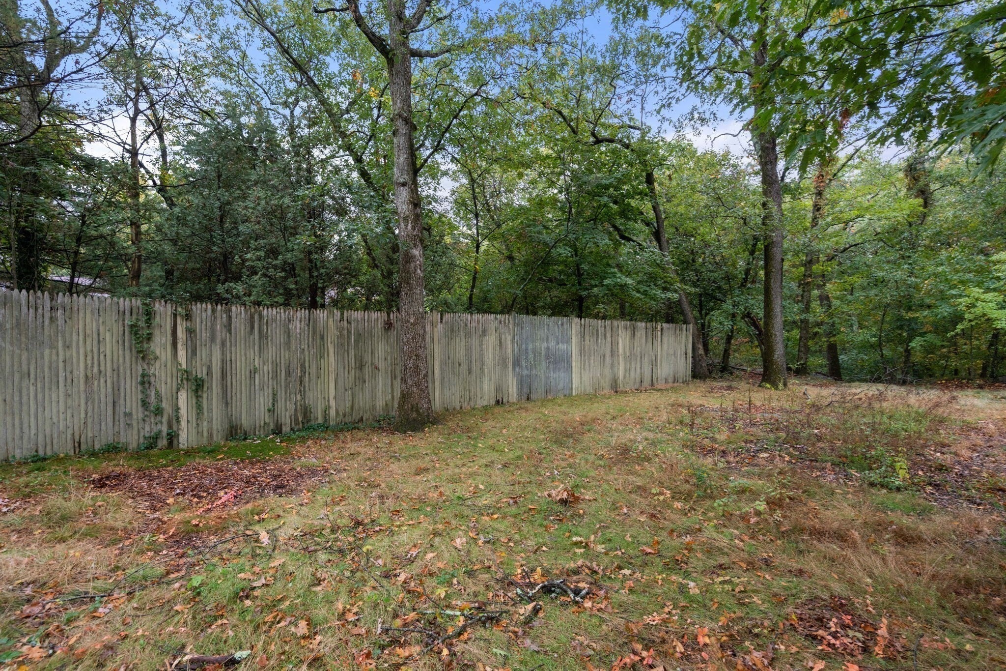 30 Hackensack Road, Brookline, MA, 30 Hackensack Road, Brookline, MA Photo #26
