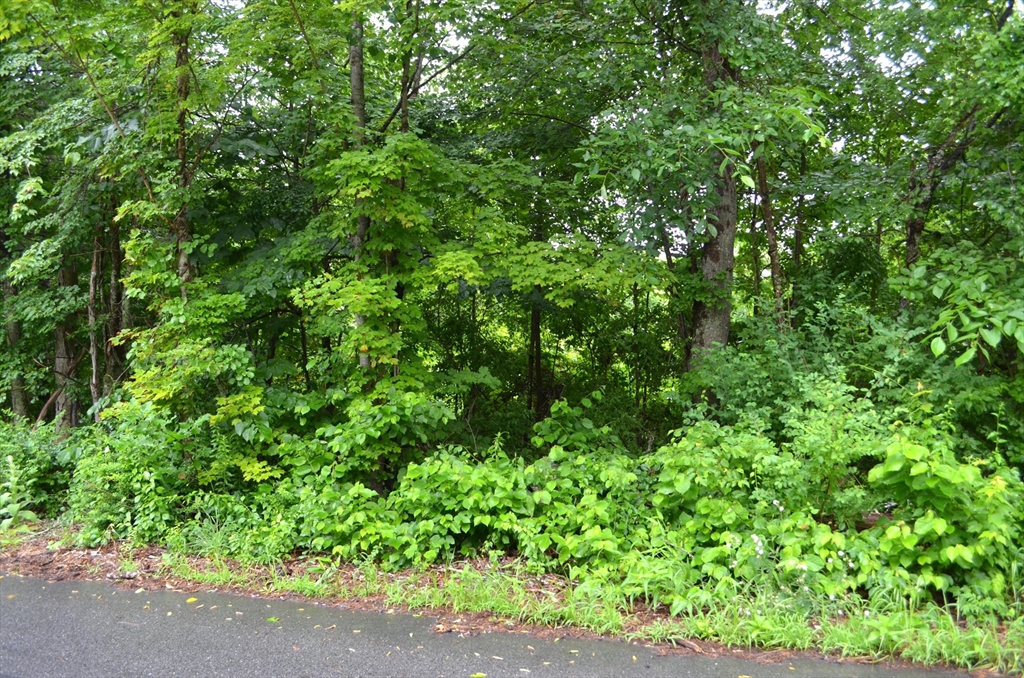 67 Babcock Tavern Rd