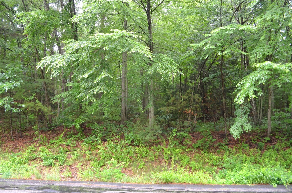 67 Babcock Tavern Rd