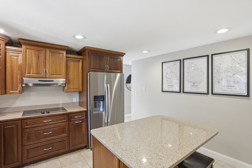 19 Bradley Lane #19, Westford, MA Photo #14