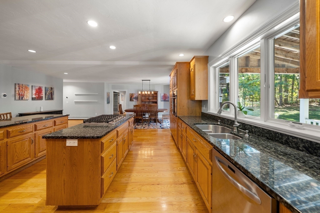 12 Dutton Park
