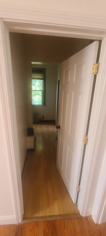 66 Franklin AVE #3, Chelsea, MA Photo #14