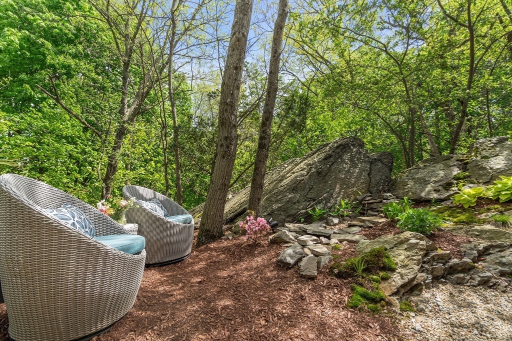 113 Carlisle St #113, Newton, MA, 113 Carlisle St #113, Newton, MA Photo #27