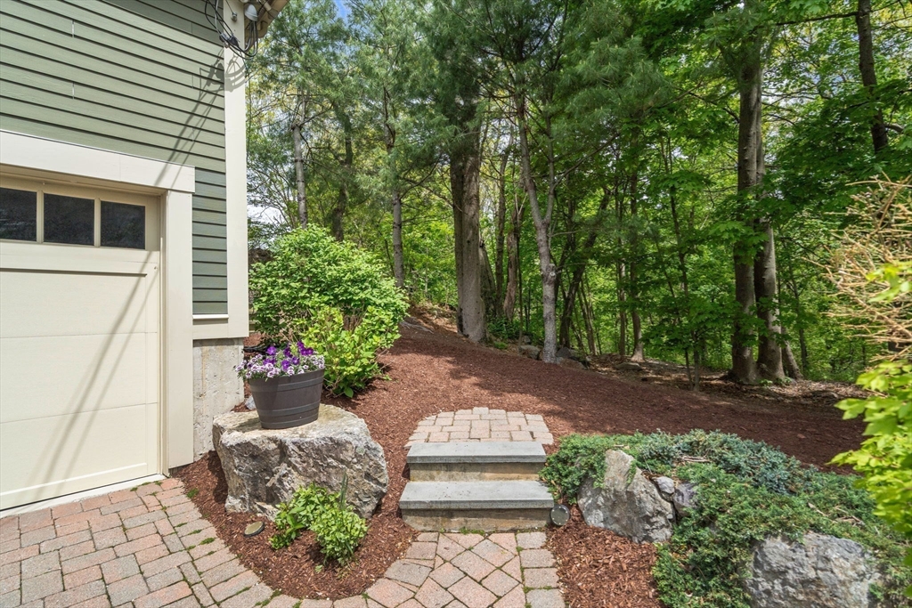 113 Carlisle St #113, Newton, MA, 113 Carlisle St #113, Newton, MA Photo #28