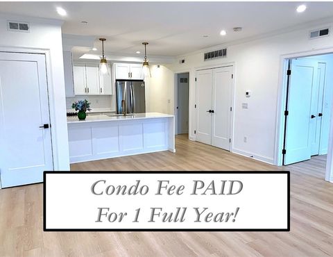 67-69 Cummins Hwy 101 Boston MA 02131