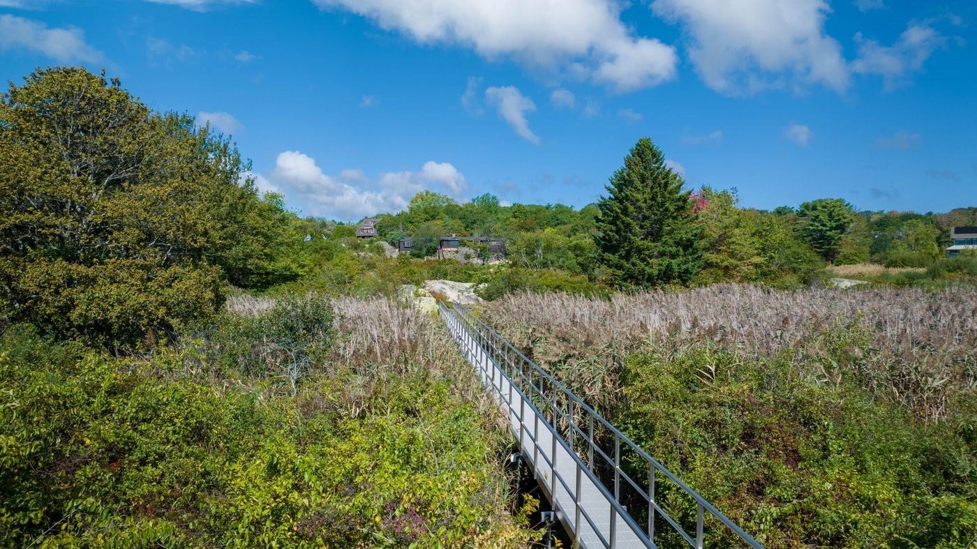 27 & 29 Farrington Avenue, Gloucester, MA, 27 & 29 Farrington Avenue, Gloucester, MA Photo #2
