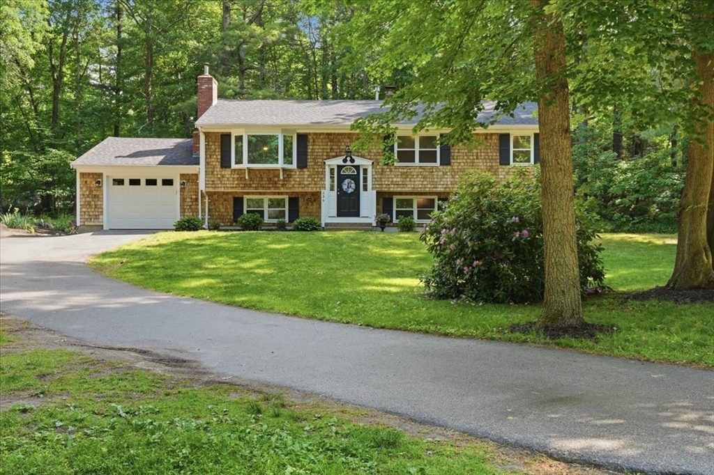 236 Pine St.