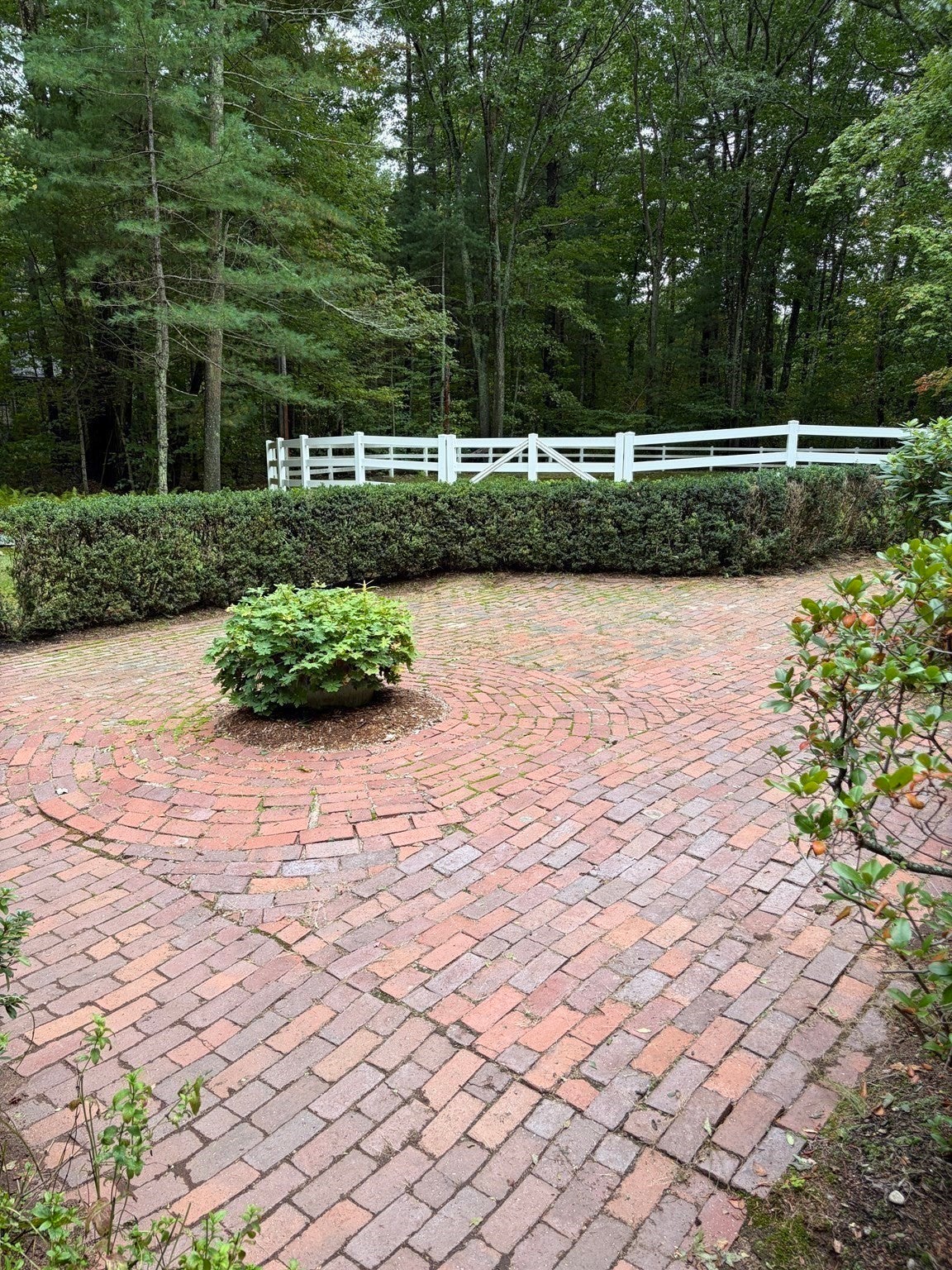 61 South Street, Franklin, MA, 61 South Street, Franklin, MA Photo #22