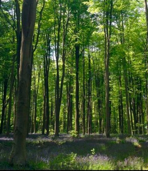 LOT 1 Winterberry Ln Easton MA 02256