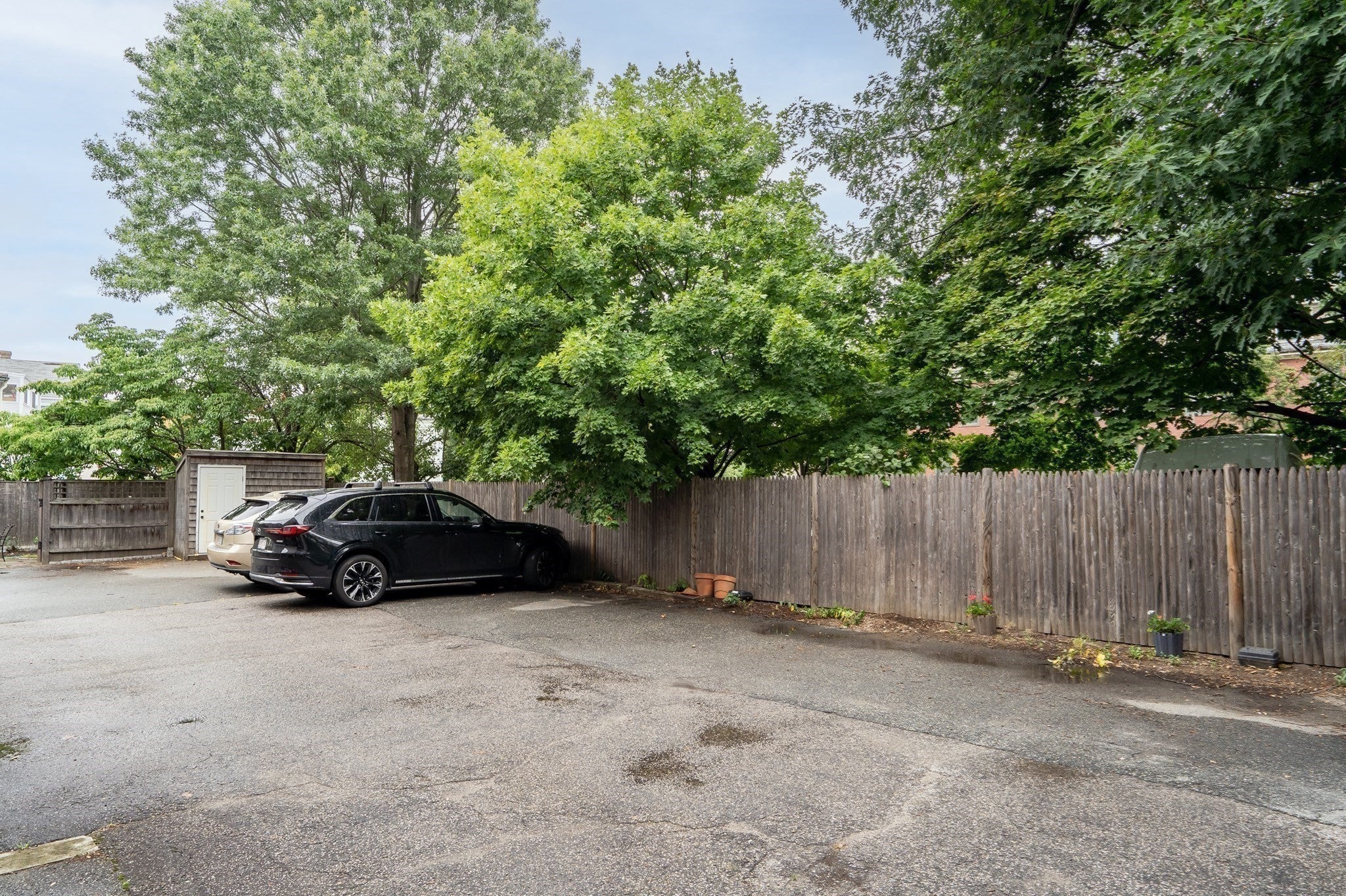 124 Chestnut St #1, Brookline, MA, 124 Chestnut St #1, Brookline, MA Photo #24
