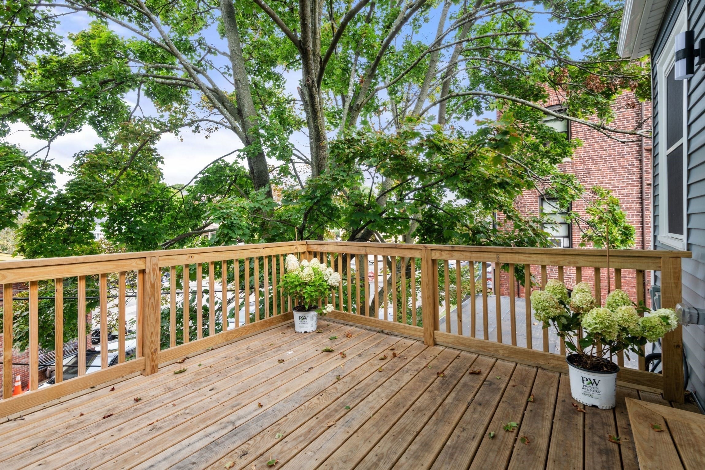 7 Waumbeck St #3, Boston, MA, 7 Waumbeck St #3, Boston, MA Photo #16