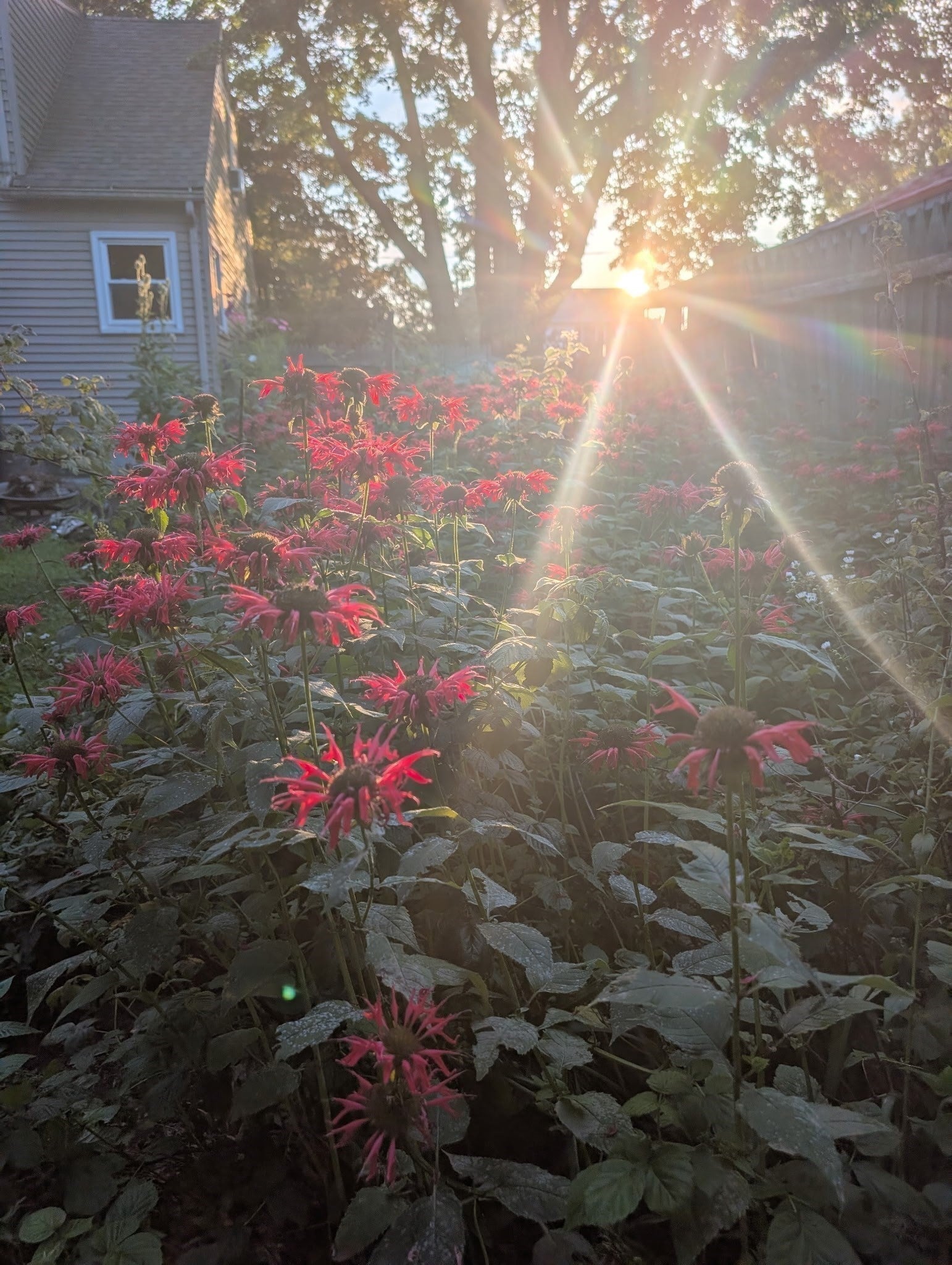 12 Linda St, South Hadley, MA, 12 Linda St, South Hadley, MA Photo #14