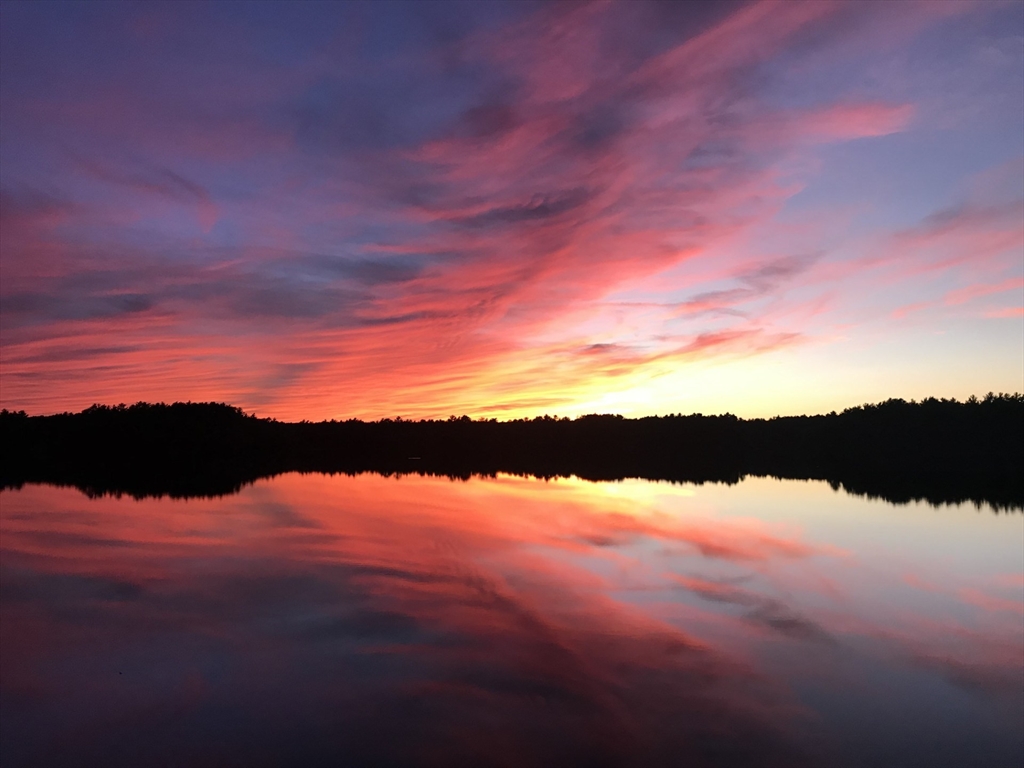 29 Aaron River Rd, Cohasset, MA Photo #41