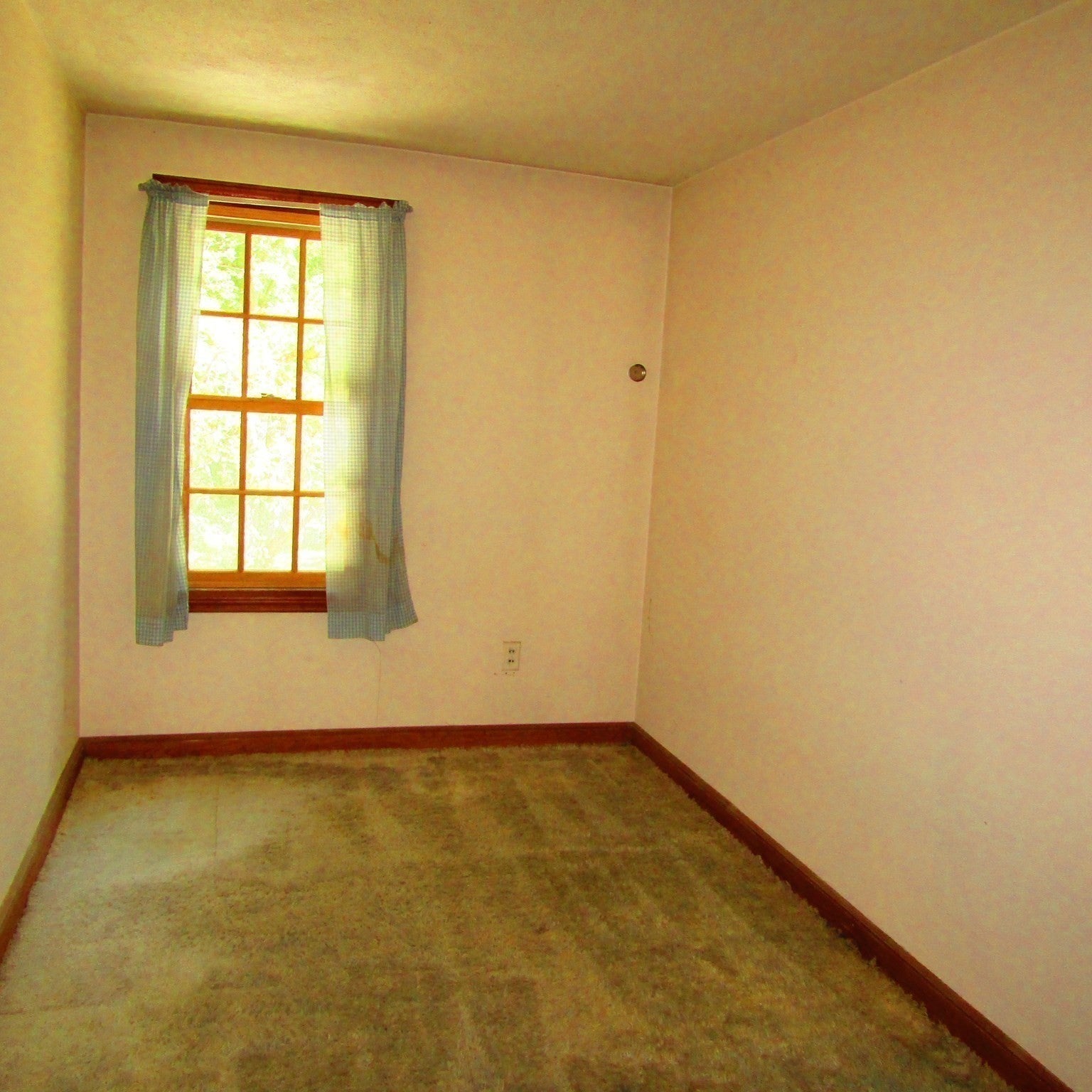 144 West Street, Amherst, MA, 144 West Street, Amherst, MA Photo #15