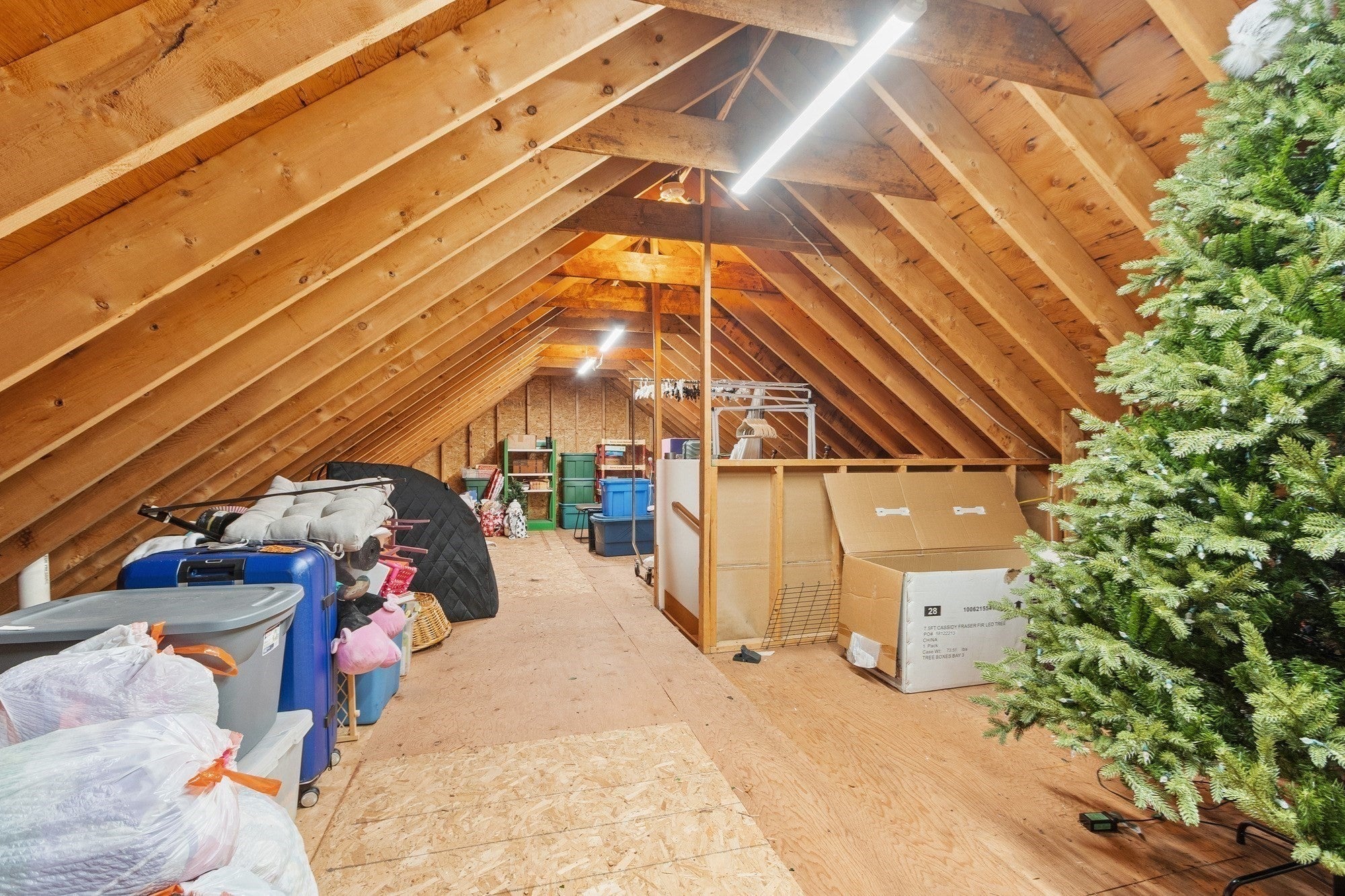 63 Linwood St, Chelmsford, MA, 63 Linwood St, Chelmsford, MA Photo #40
