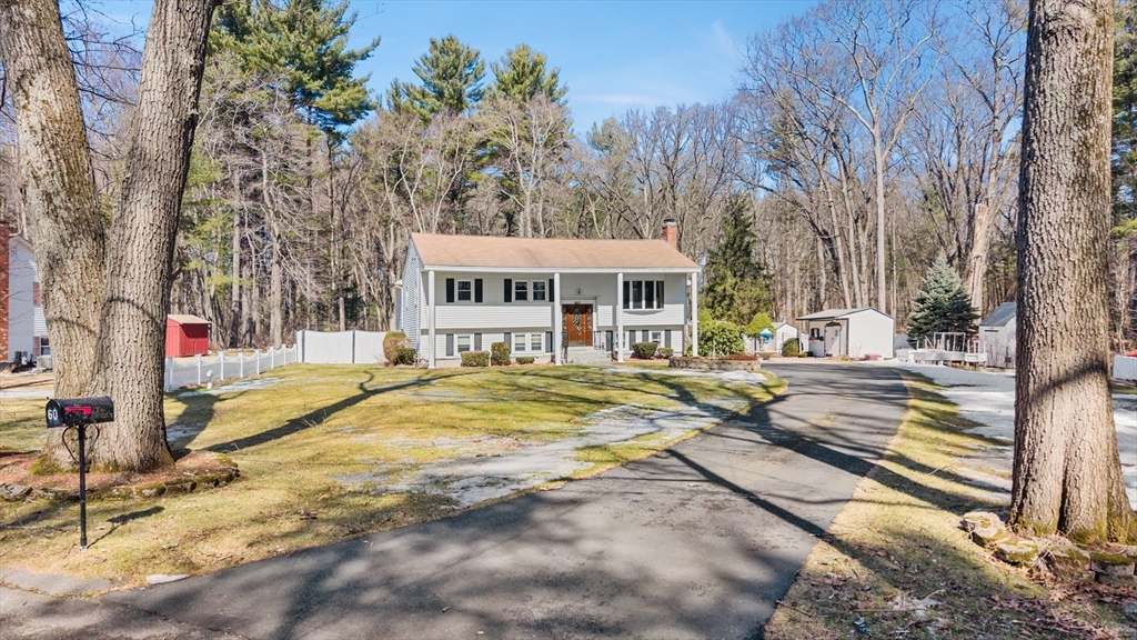 60 David Morris Rd
