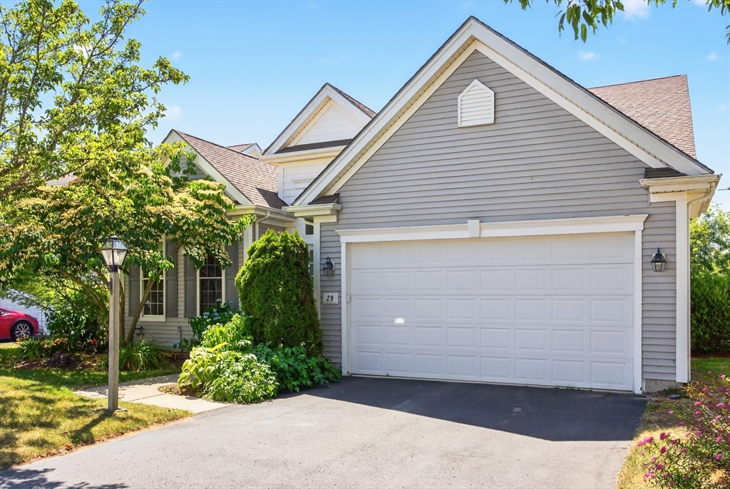 29 Belltree