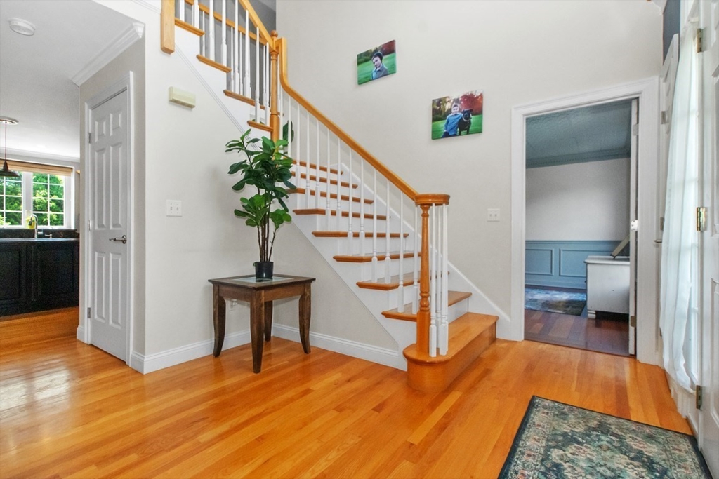 307 Chestnut Street
