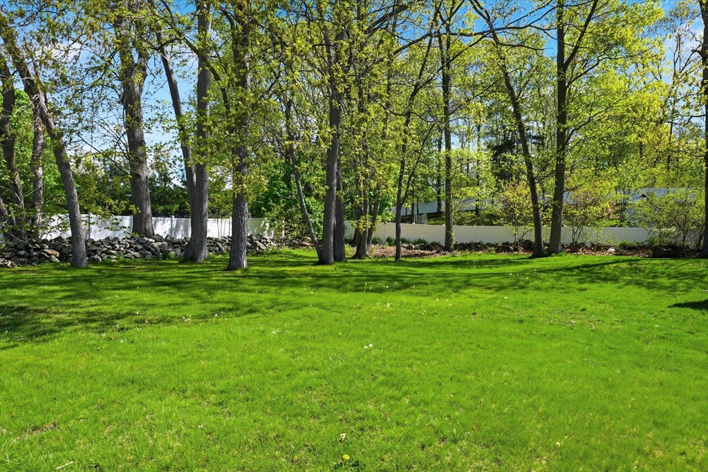 37 Princeton St, Danvers, MA Photo #36