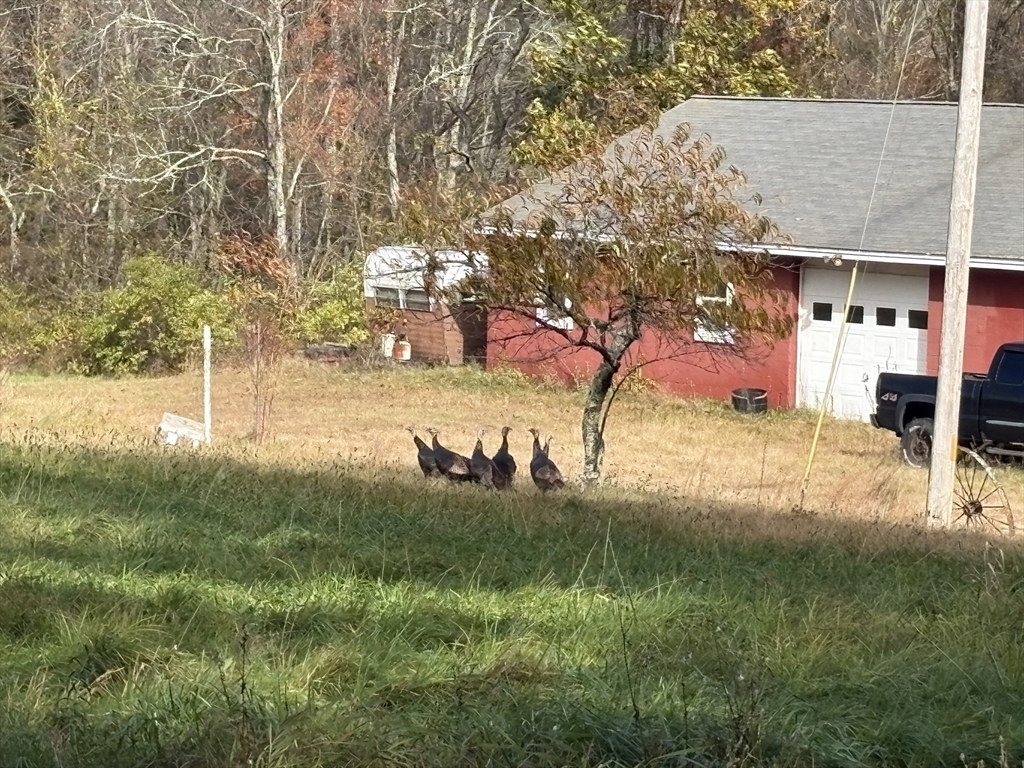 194 Old Greenwich Plains Rd