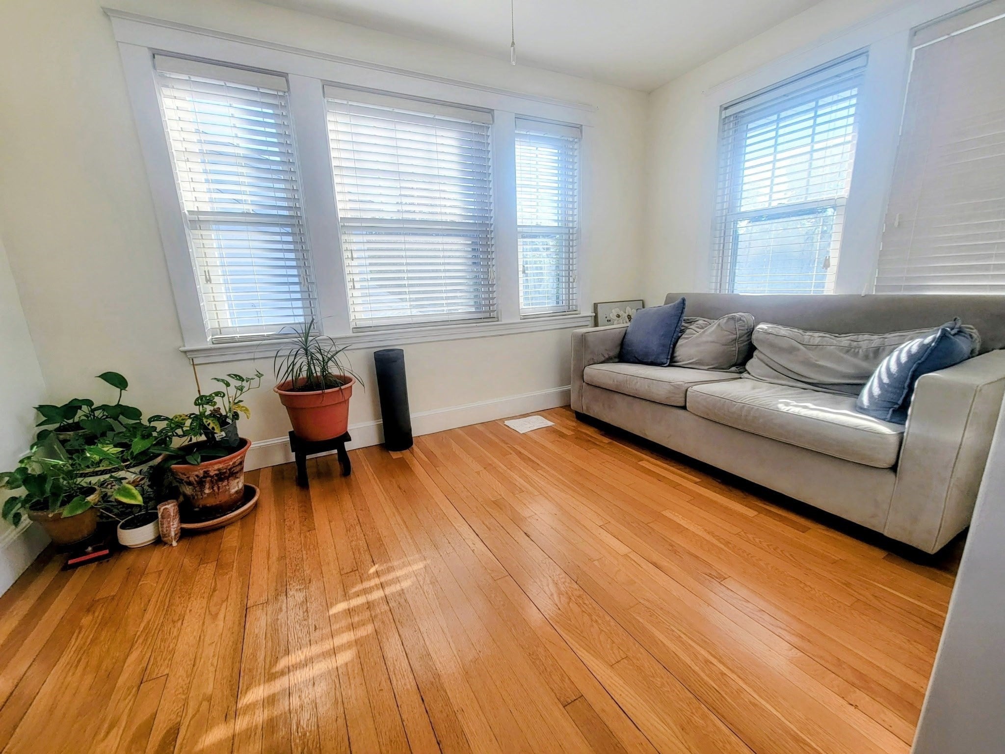 340 Common St #2, Belmont, MA Photo #13