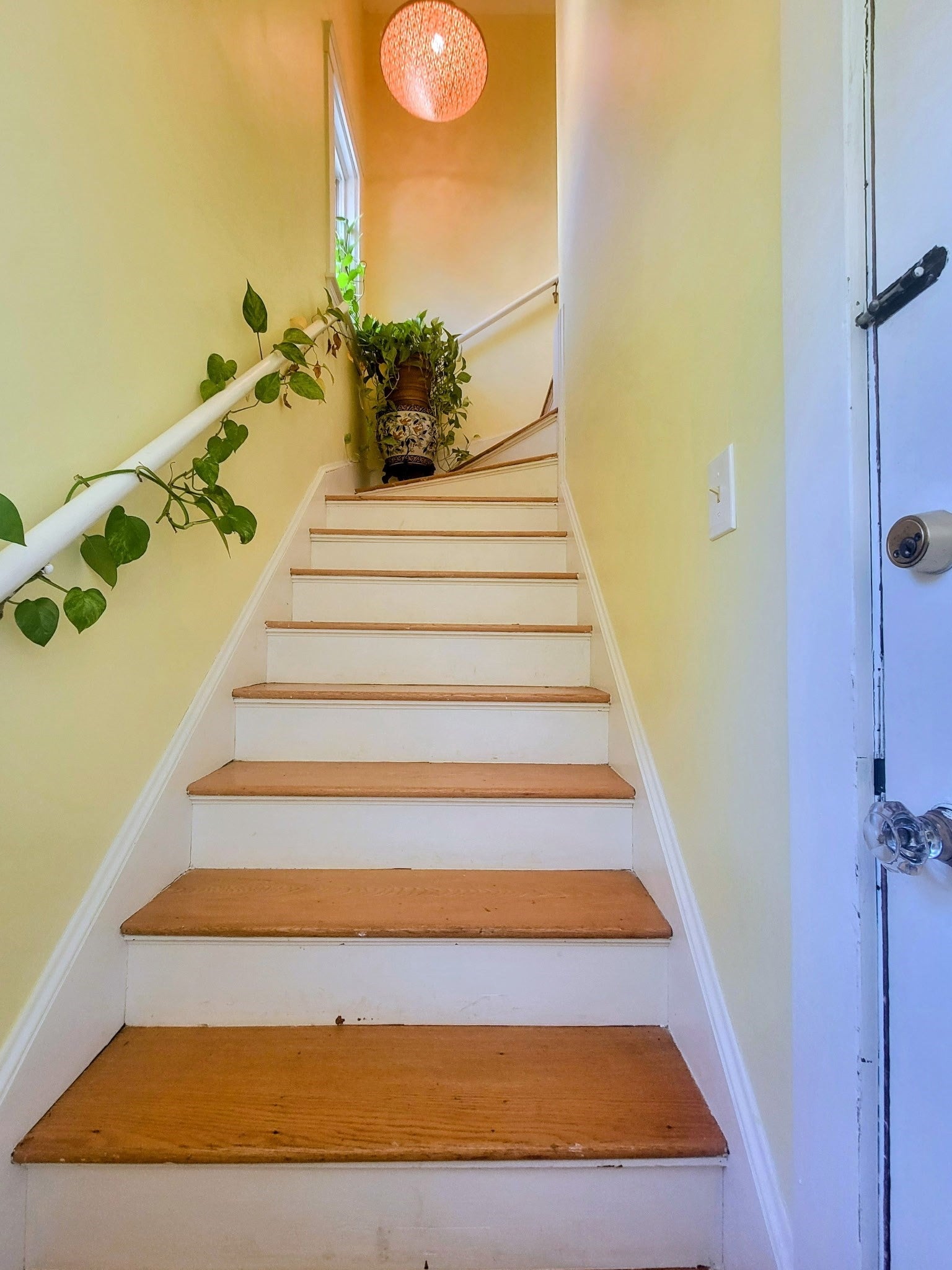 340 Common St #2, Belmont, MA Photo #27