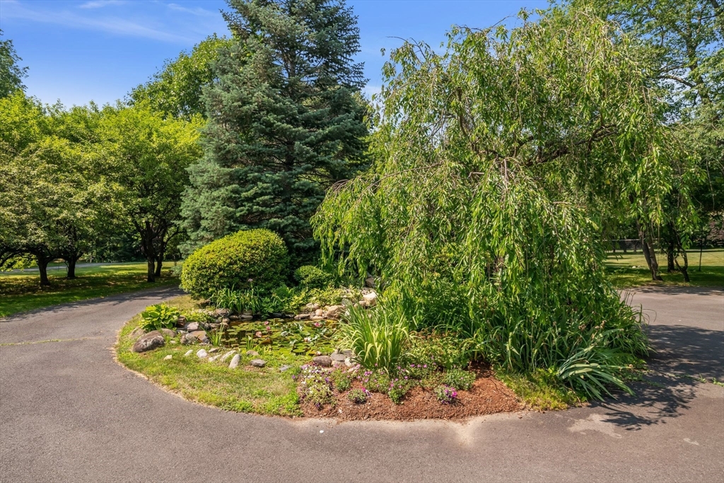 19 Indian Pipe Ln