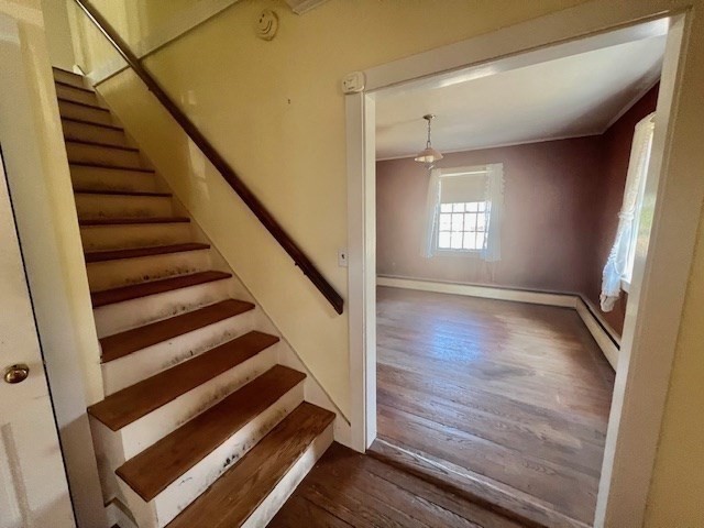 41 Woodland Rd