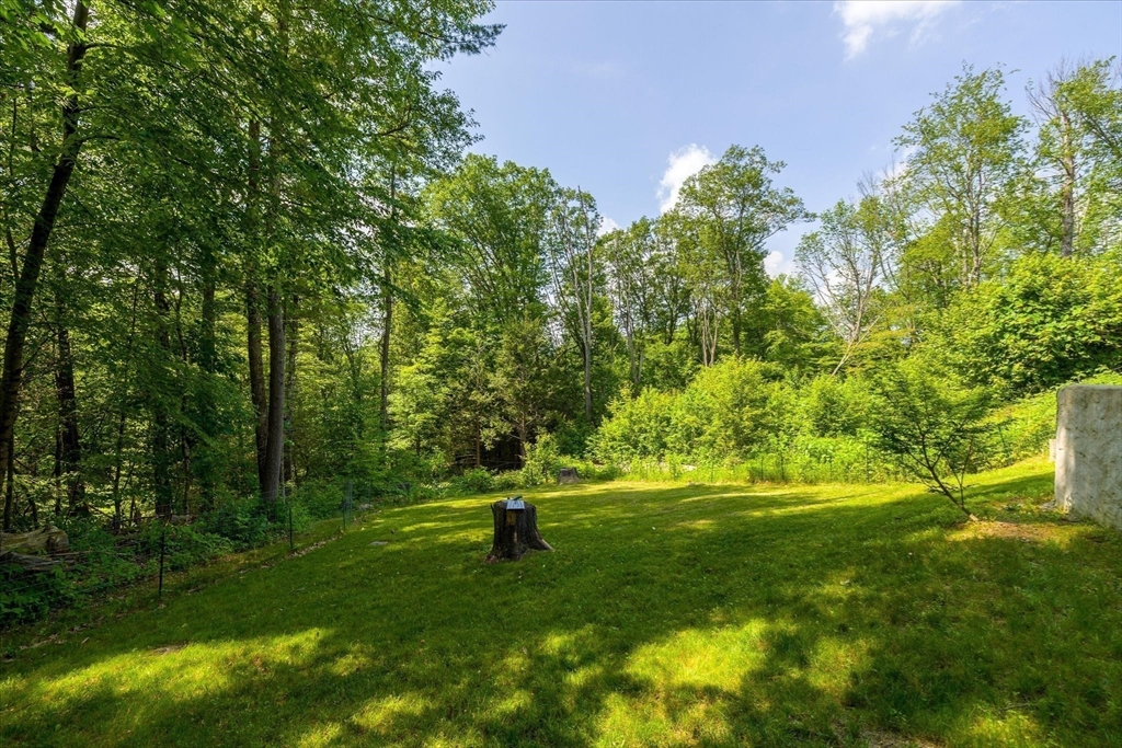 236 Holland Rd