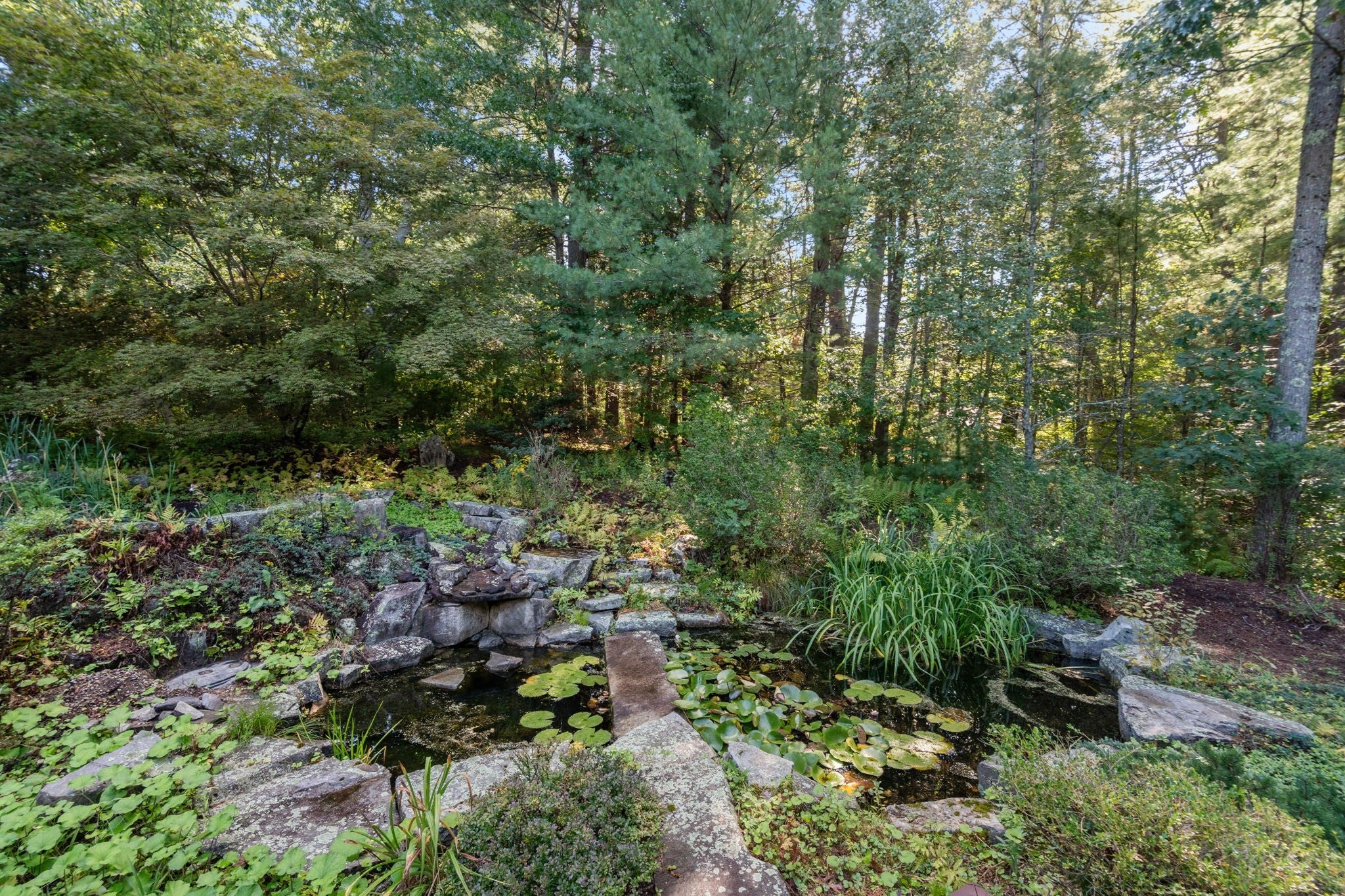 24 Davis Rd, Carlisle, MA Photo #33
