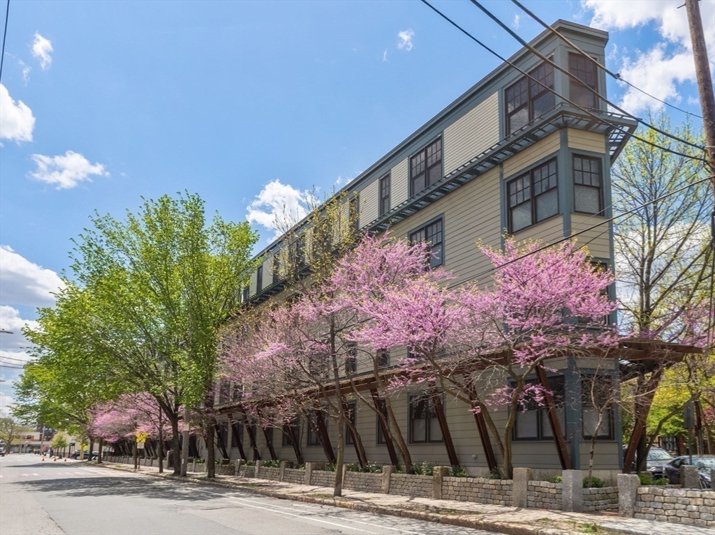 432 Norfolk St #2F, Somerville, MA Photo #1