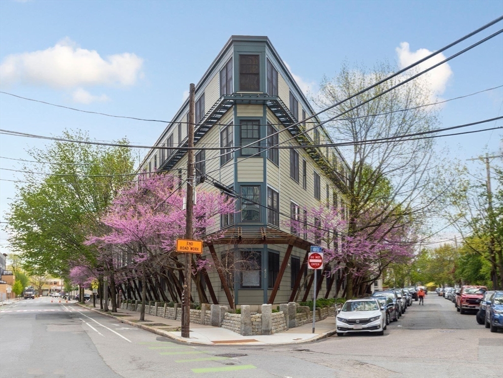 432 Norfolk St #2F, Somerville, MA Photo #20