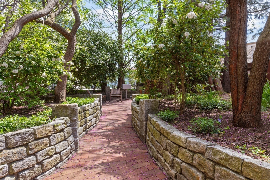 432 Norfolk St #2F, Somerville, MA Photo #16