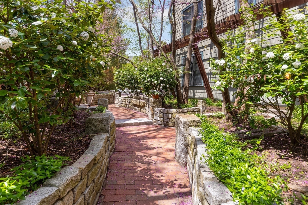 432 Norfolk St #2F, Somerville, MA Photo #18