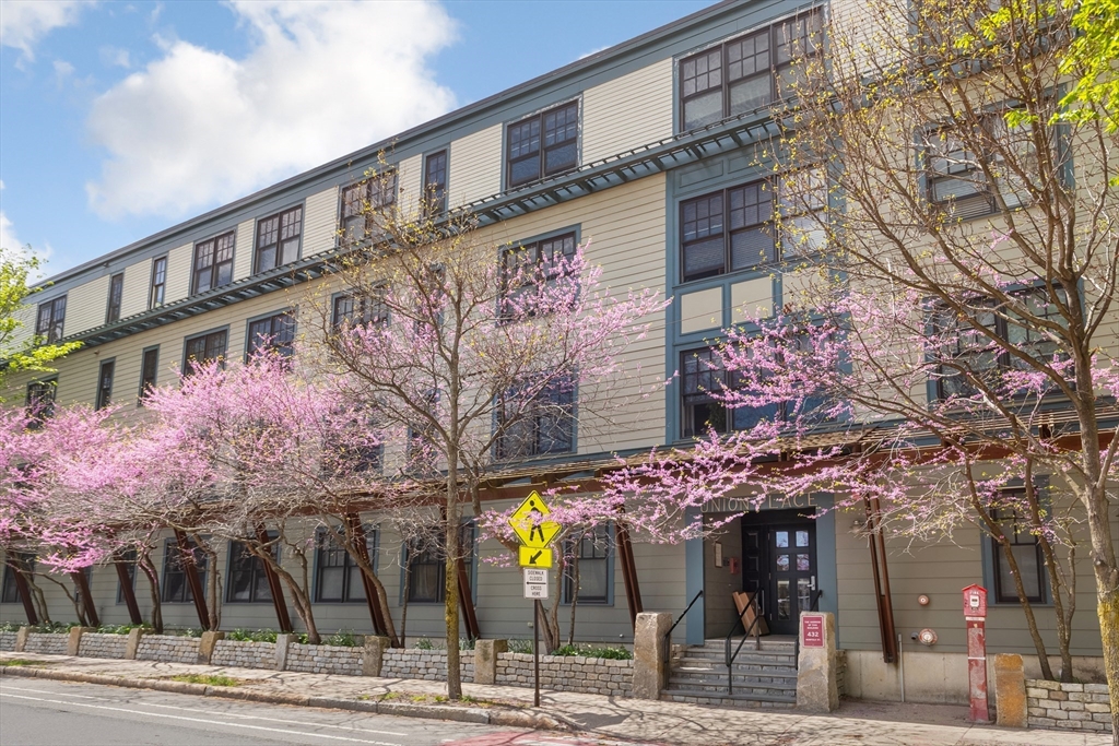 432 Norfolk St #2F, Somerville, MA Photo #3