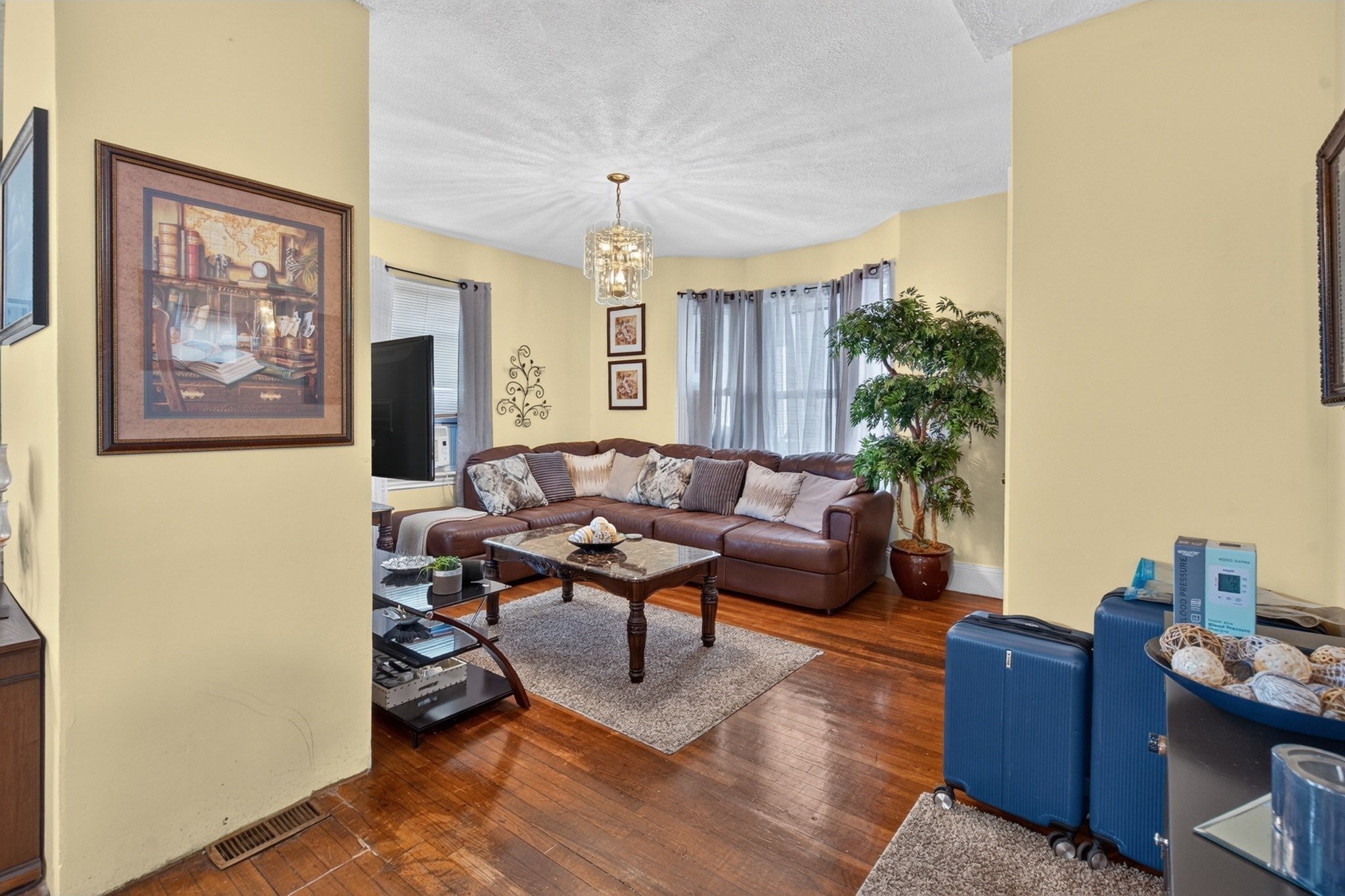 445 Walnut Ave