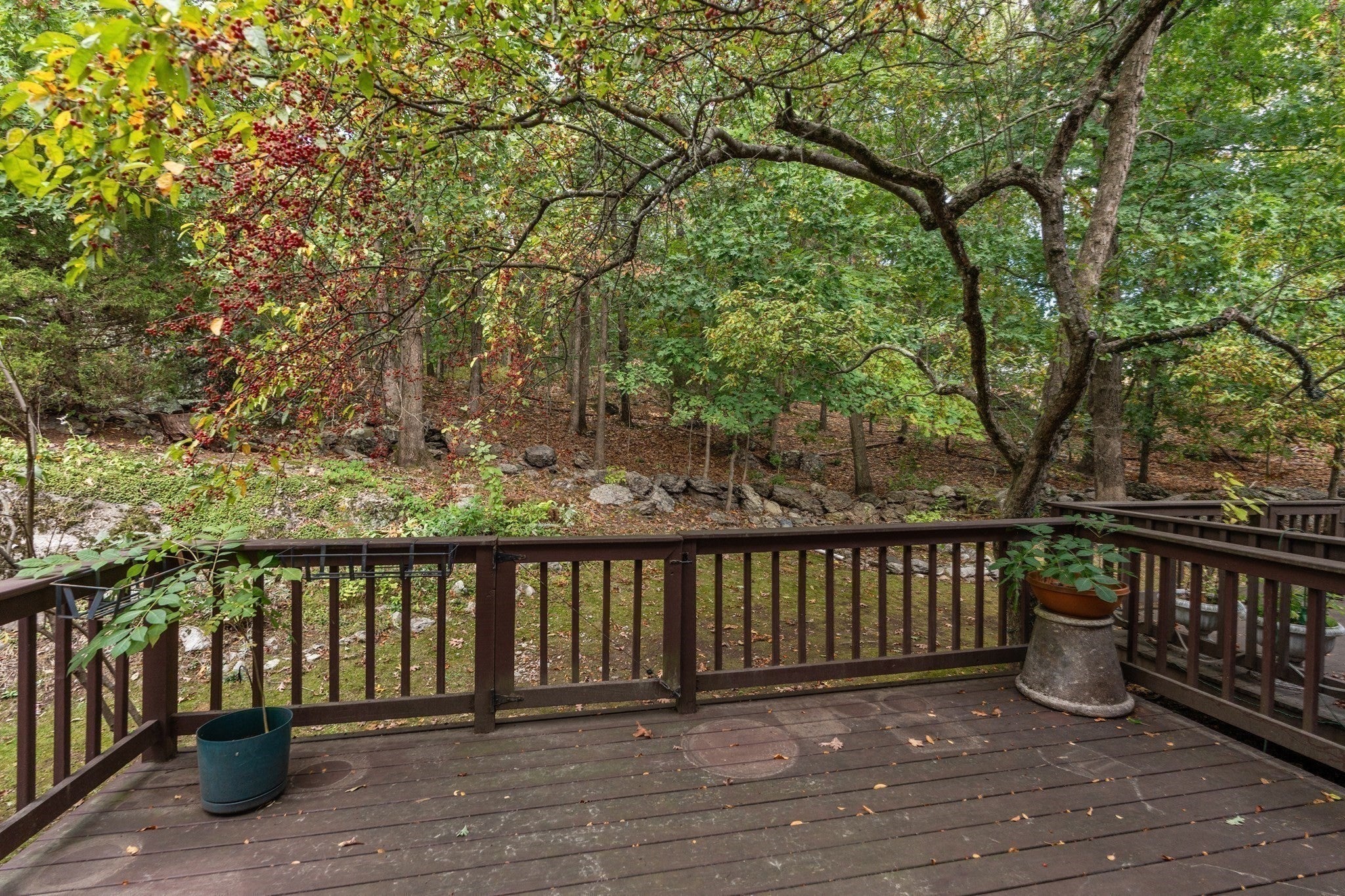 95 Anderer Ln #3, Boston, MA Photo #32