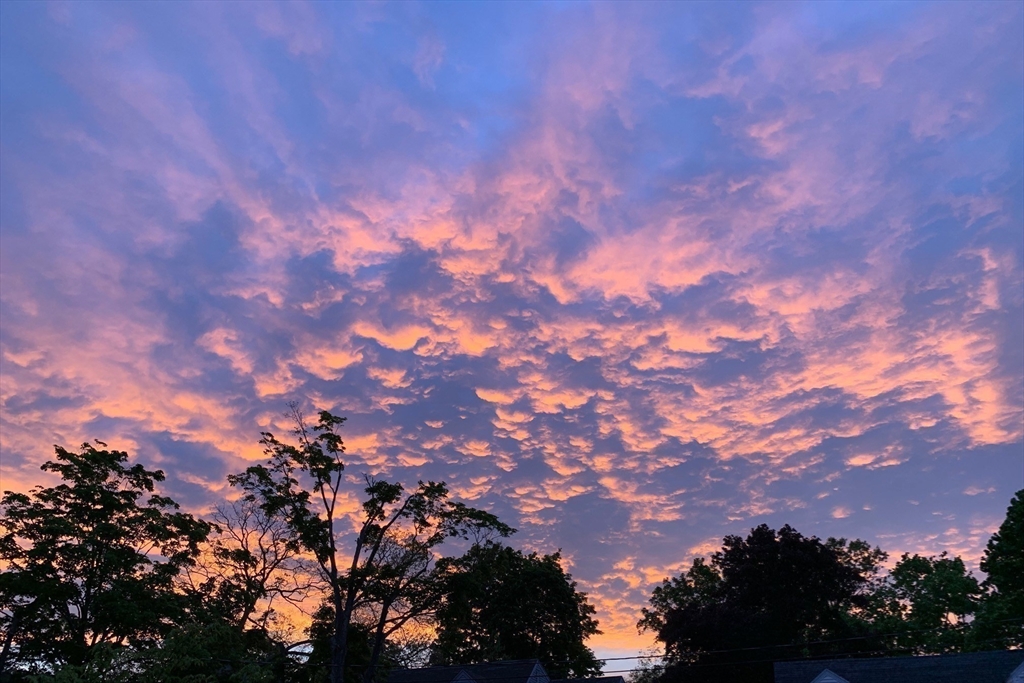 Needham, Massachusetts 02494, United States, 4 Bedrooms Bedrooms, ,3 BathroomsBathrooms,Residential,Pending,105629