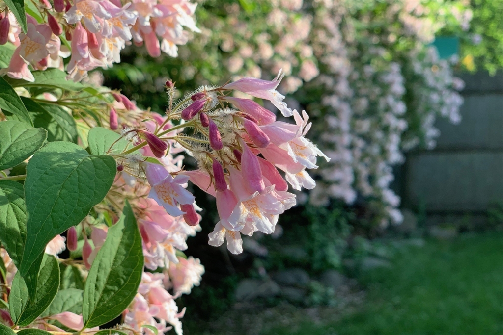 Needham, Massachusetts 02494, United States, 4 Bedrooms Bedrooms, ,3 BathroomsBathrooms,Residential,Pending,105629