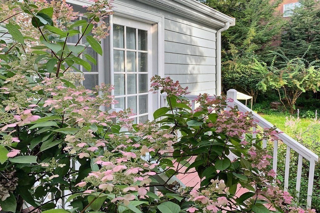 Needham, Massachusetts 02494, United States, 4 Bedrooms Bedrooms, ,3 BathroomsBathrooms,Residential,Pending,105629